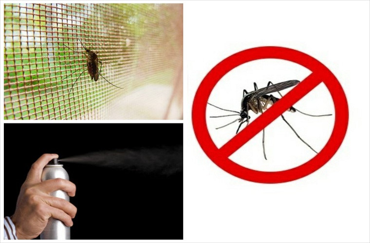 Cửa chắn côn trùng chống muỗi hiệu quả