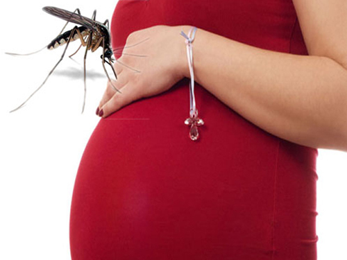 Phụ nữ mang thai là đối tượng dễ bị lây bệnh sốt xuất huyết nhất