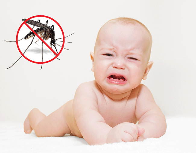Cửa lưới ngăn muỗi bảo vệ sức khỏe bé yêu